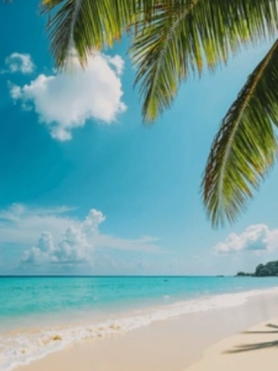 Meet the Posher Other - Meet your Posher, Faith